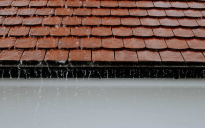 Will a Homeowner Insurance Plan Compensate for Roof Leaks?