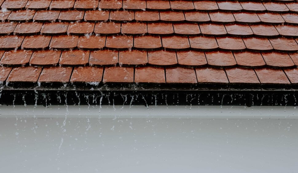 Will a Homeowner Insurance Plan Compensate for Roof Leaks?